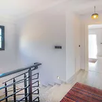 Lux Villa